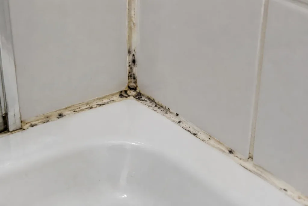 Kitbedrijf Naarden – beschimmelde kitranden